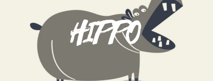 HIPPO อุปสรรคในการทำงาน