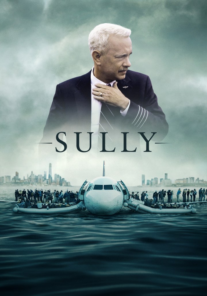 sully-582b37c82adc9