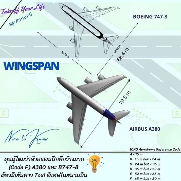 Facebook live #10 Infographic”Wingspan”