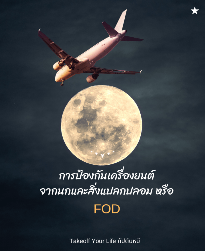 จะเป็นนกหรือโคมลอยถ้าไม่อยากให้เข้าเครื่องยนต์ทำไมไม่ติดตาข่ายที่เครื่องยนต์ไปเลยล่ะ ??