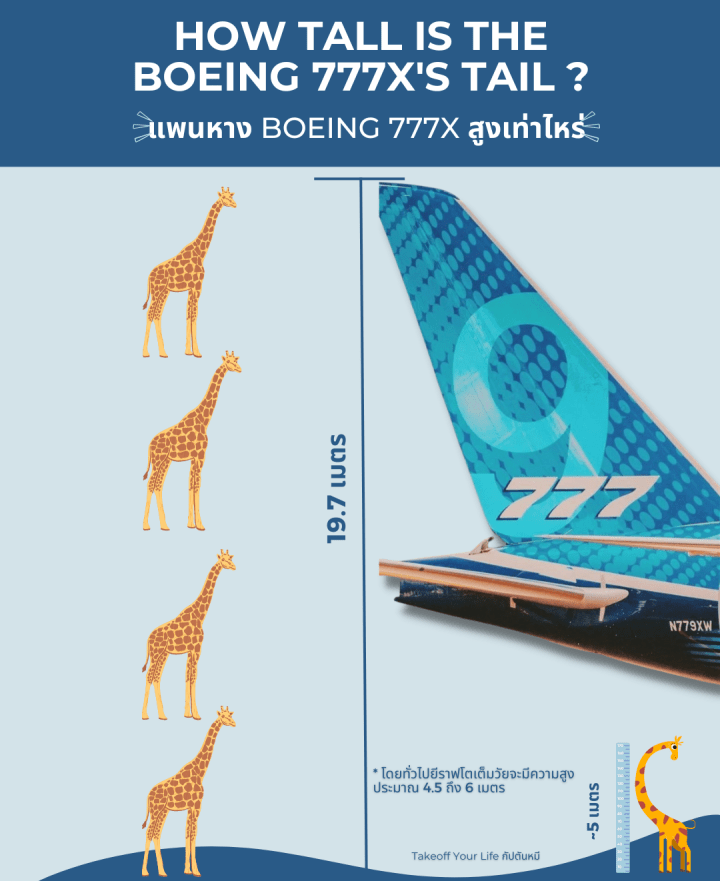 ความสูงของแพนหางดิ่ง Boeing 777X