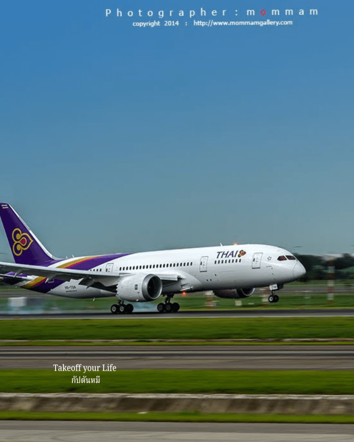 3 พี่น้องในตระกูล 787